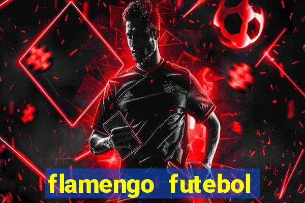 flamengo futebol play hd